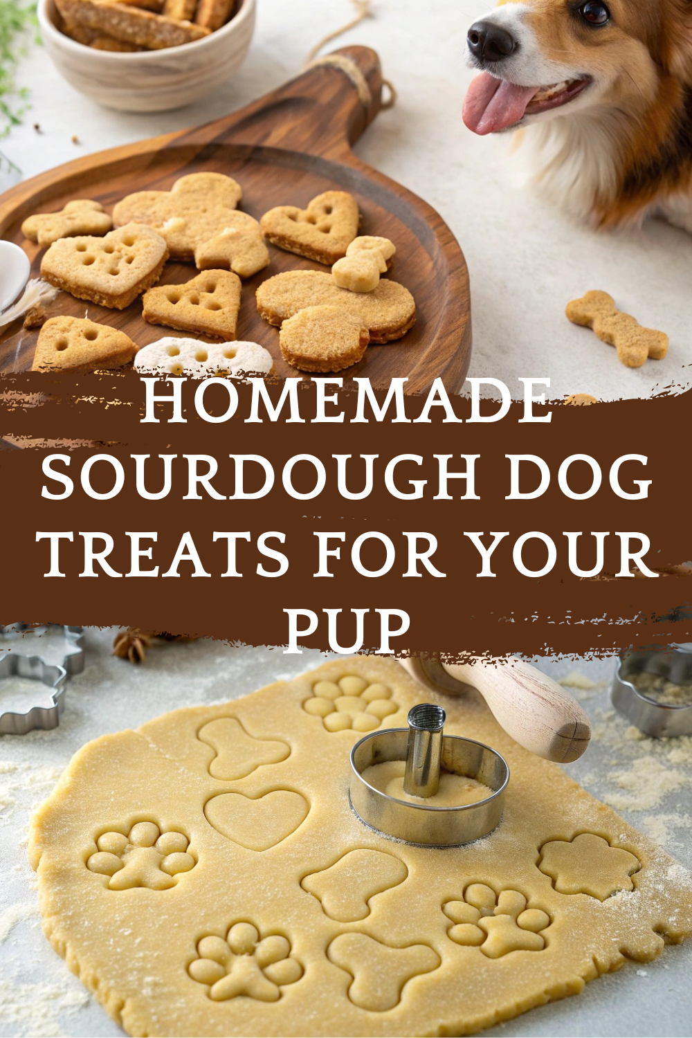 Homemade Sourdough Dog Treats for Your Pup