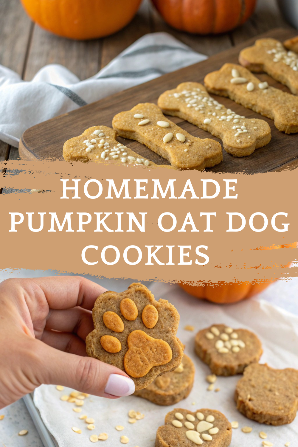 Homemade Pumpkin Oat Dog Cookies – Healthy Treats for Your Pup