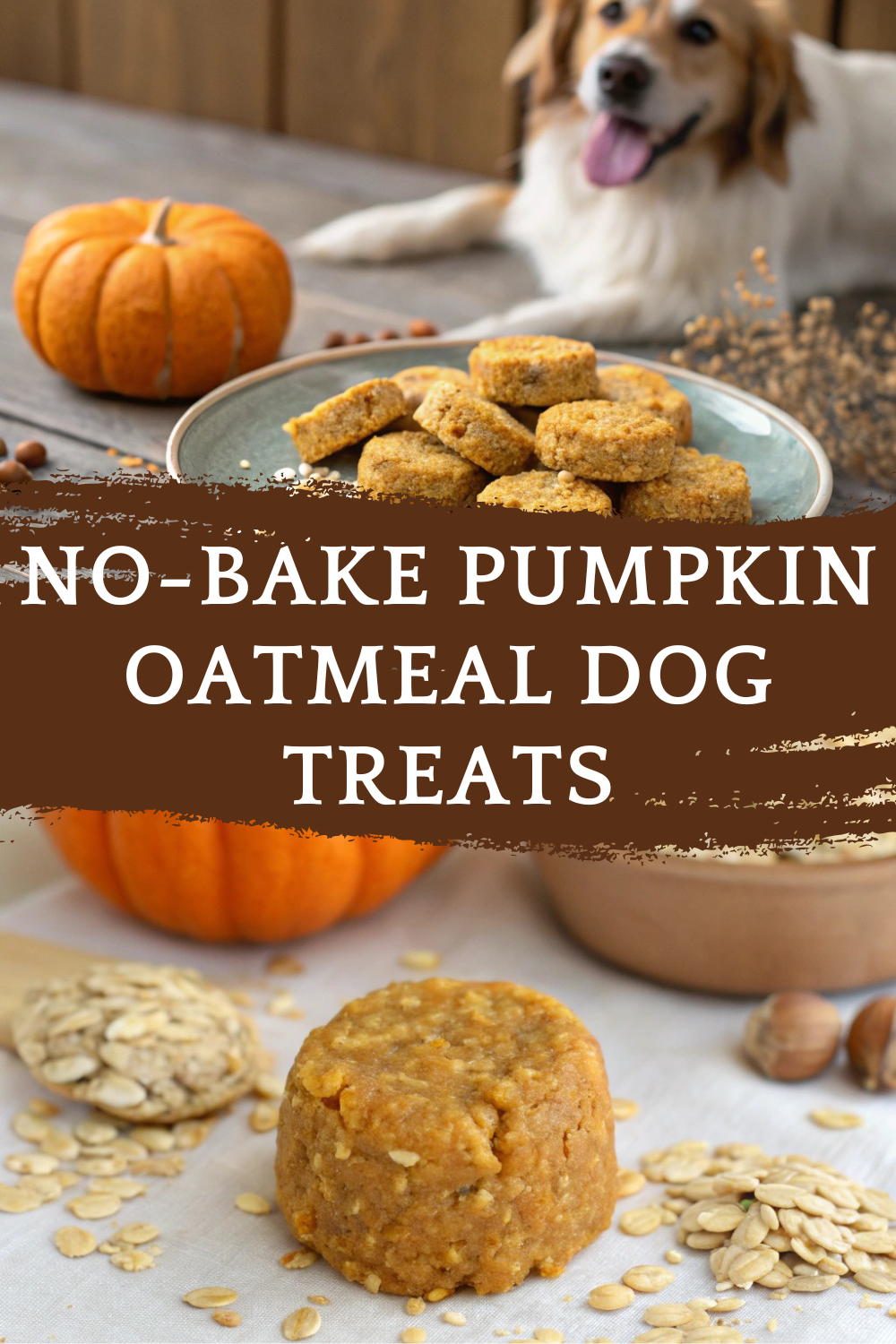 No-Bake Pumpkin Oatmeal Dog Treats: A Soft and Easy Recipe Made with Love