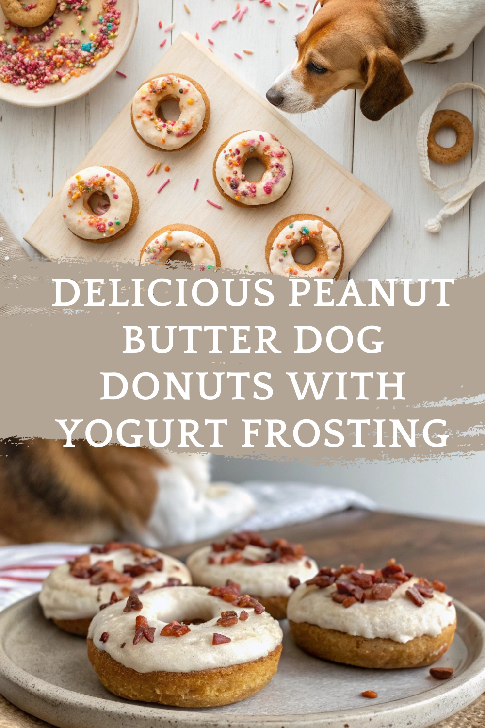 Delicious Peanut Butter Dog Donuts with Yogurt Frosting