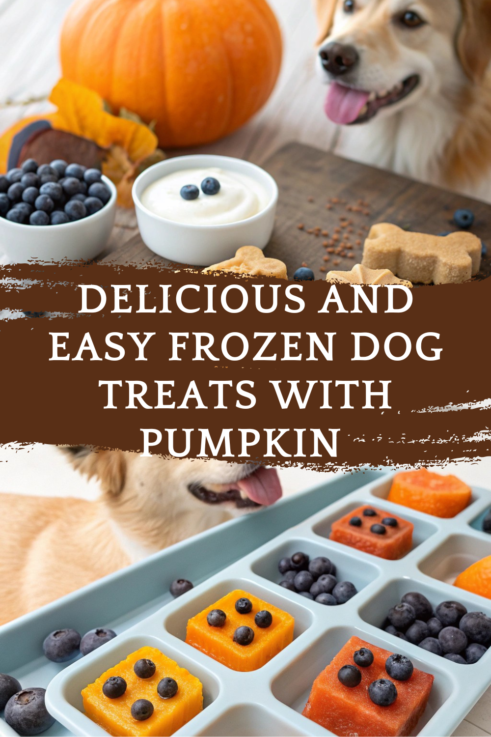Delicious and Easy Frozen Dog Treats with Pumpkin and Yogurt